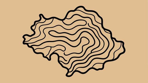 Abstract topographic contour map design displaying smooth curves illustration vector
