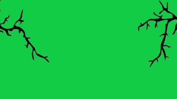 Cartoon Tree Branches Frame with Green Screen Background Loopable Animation video