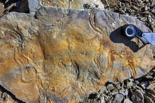 Sedimentary Rock Texture with Magnifier on it. photo