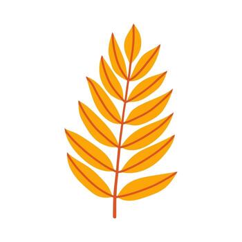 Orange ash leaf branch on isolated background. Simple autumn fall leaf for pattern, banner, sticker. Hello autumn card. Flat illustration. vector