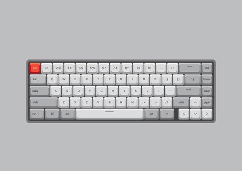 Grey keyboard with red escape key vector