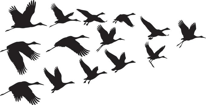Silhouette Flight Avian Majesty Winged Migration A Symphony of Cranes Ascending Against an Open Sky A Dance of Feathers and Freedom vector