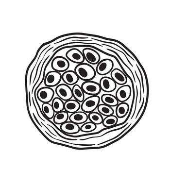 An Abstract Illustration Depicting a Cell and Its Nucleus Featuring Circular Structures vector