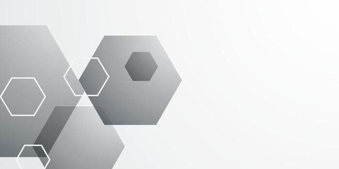 Abstract black and white hexagon gradient background vector