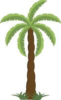 ilustración de tropical palma árbol. aislado en blanco antecedentes vector