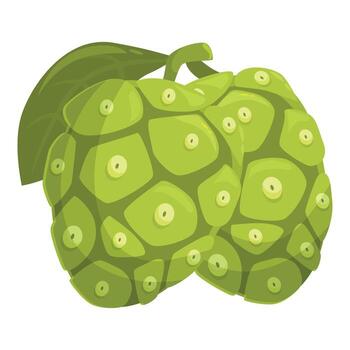 Two noni fruits with leaf showing their unique texture vector
