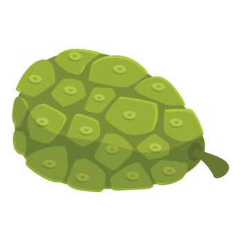 Noni fruit showing its characteristic green surface with multiple dots vector