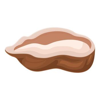 medio maní demostración nutritivo semilla dentro marrón cáscara vector