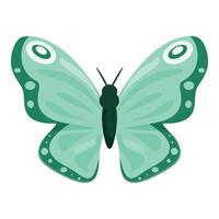 Light green butterfly showing its wonderful wings vector