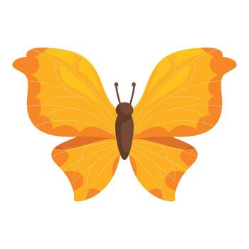Beautiful orange butterfly with open wings showing its delicate patterns vector