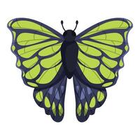 Green and blue butterfly showing its wonderful wings vector