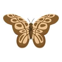 Brown butterfly showing its wonderful wings design vector