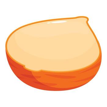 Half hazelnut showing its inside on white background vector