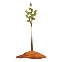 Young tree growing in fertile soil symbolizing new life and hope vector