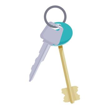 Two keys hanging from a turquoise keyring on white background vector