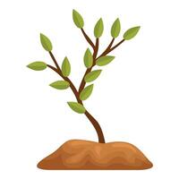 Young plant growing in fertile soil with green leaves vector