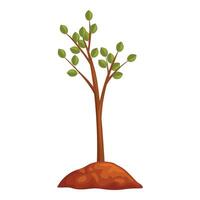 Young tree growing in fertile soil symbolizing new life and environmental conservation vector