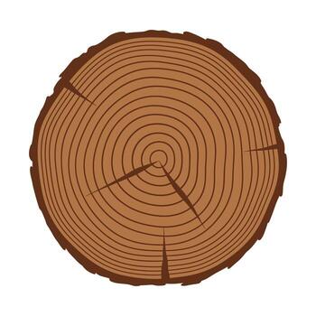 Cross-Section of a Tree Trunk with Growth Rings. vector