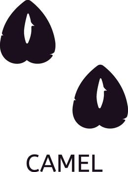 Camel paw print showing even toed ungulate with two toes consisting of broad, leathery pads for walking on sand, illustration isolated on white background vector