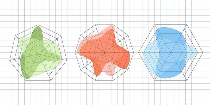 kiviat diagrama modelo colocar. araña web cuadro, Radar Estadísticas cuadro. irregular polígono estrella trama para negocio proceso gráficos estructura. multivariado datos visualización. vector