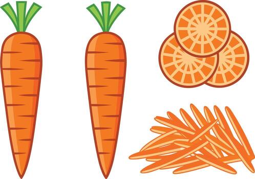 Realistic Carrot Cuts and Forms Collection for Culinary Projects vector