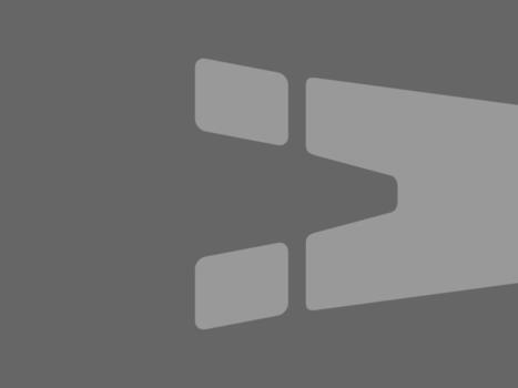 An abstract image on a dark gray background vector