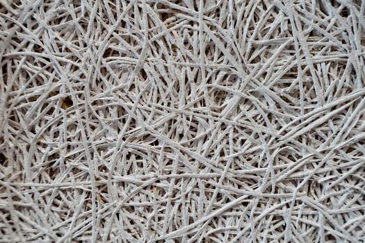 Abstract texture of white fibers creating intricate patterns for design and artistic applications photo