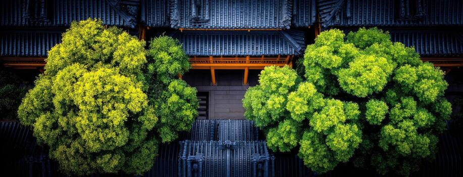 An aerial view of two trees in front of a building photo