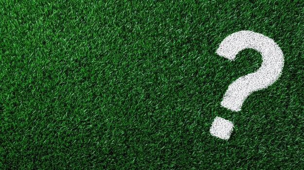 Question mark on grass photo