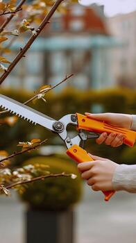 A person is using an orange and black pair of scissors to cut a tree photo