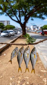 A group of fish hanging on a tree branch photo