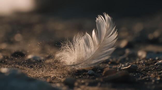 Delicate Feather Gently Resting on Ground Surrounded by Tiny Particles of Dust in Soft Natural Light photo