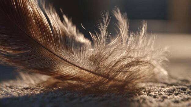 Close-Up of a Delicate Soft Feather Glowing in Golden Light Against a Natural Background of Soft Textures photo
