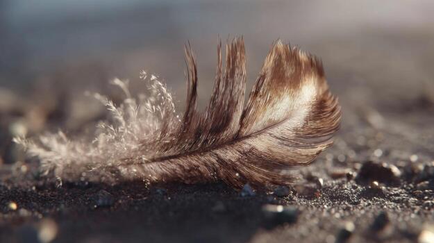 Close-Up of a Brown Feather on a Textured Surface Capturing Nature's Elegance and Intricacies in Stunning Detail photo