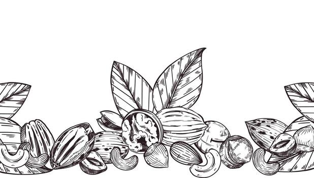 sin costura frontera de nueces, nuez, anacardo, pacana, avellana, macadamia, árbol hojas. todas objetos son dibujado a mano con tinta. para impresión en comida embalaje, toalla diseño vector