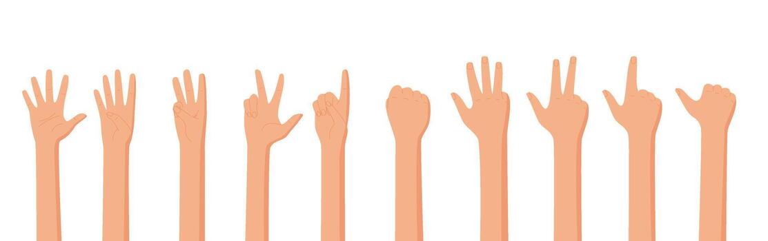 Cartoon hand count gesture set shows number counting. Fingers create various numbers using bare arms in flat design. Isolated collection adds visual announcement for educational content. vector