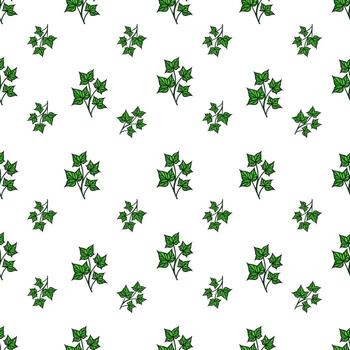 un sin costura modelo presentando verde hiedra hojas en un blanco antecedentes. el hojas son detallado y arreglado en un repetitivo diseño, creando un Fresco y natural mirar. vector