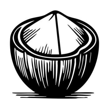 A stylized illustration of a coconut, showing its outer shell with a smooth surface and a pointed top. The design features bold lines and shading, emphasizing the texture of the coconut. vector