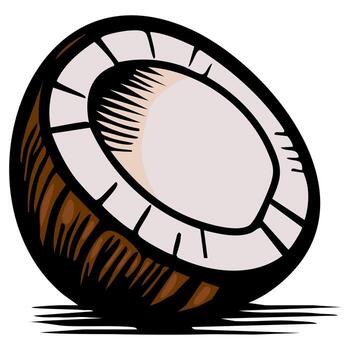 A stylized illustration of a coconut, showcasing its brown outer shell and white inner flesh. The coconut is depicted in a slightly tilted position, emphasizing its round shape and texture. vector