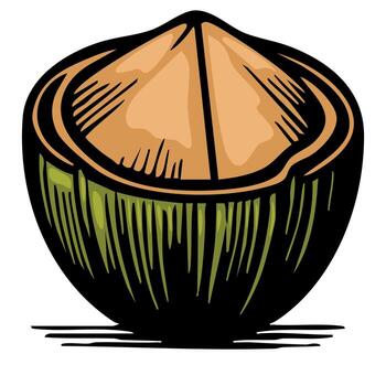A stylized illustration of a coconut, showcasing its brown shell and green outer layer. The coconut is depicted with a smooth texture and a slightly open top, revealing the inner shell. vector