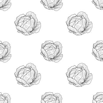 un sin costura modelo presentando dibujado a mano repollo ilustraciones en un blanco antecedentes. el diseño vitrinas varios anglos de coles, creando un Fresco y orgánico sentir. vector