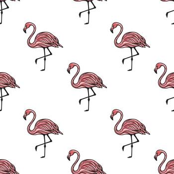 A seamless pattern featuring hand-drawn flamingos in pink and black on a white background. The flamingos are depicted in various poses, showcasing their long legs and curved necks. vector