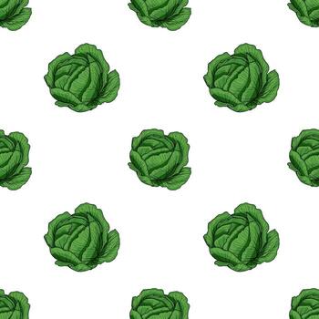 A seamless pattern featuring hand-drawn green cabbages on a white background. The cabbages are illustrated with detailed leaves and a realistic texture, creating a fresh and vibrant look. vector