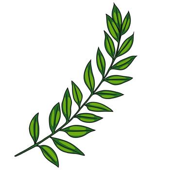 A vibrant green leaf branch with multiple leaflets, showcasing a natural and fresh appearance. The leaves are glossy and have a rich green color, arranged symmetrically along the stem. vector