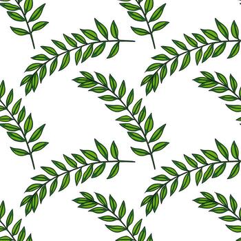 un sin costura modelo presentando verde hojas en un blanco fondo, exhibiendo varios ramas con múltiple folletos vector