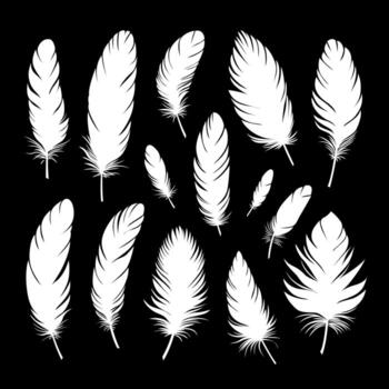 White silhouettes of bird feathers of different shapes and sizes. Large set of different feathers. Concept of spirituality, freedom and creativity. vector