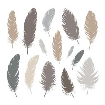 Bird feathers of different shapes, sizes and colors. Large set of different feathers. Delicate beige shades. vector