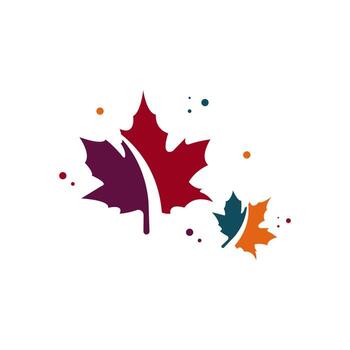 Autumn Maple Leaf Design Minimalist for Branding vector