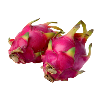 view of the unique scale like texture of dragon fruit skin, highlighting its vibrant colors and intricate patterns on a transparent background in format. png