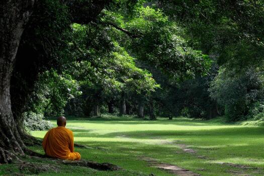 Monk in Angkor Wat Park sits under tree meditating in daytime photo